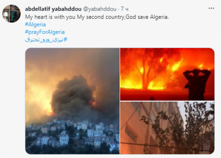 В Алжире произошли пожары