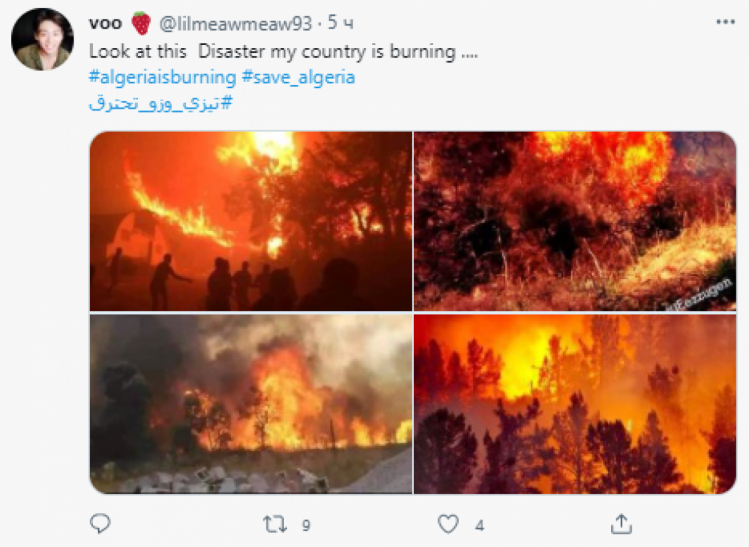 Пожары в Алжире