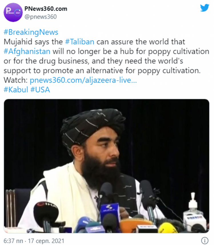 "Талібан" заявив, що припинить виробництво наркотиків в Афганістані