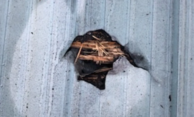 В канадском городе Голден метеорит врезался в частный дом и пробил крышу