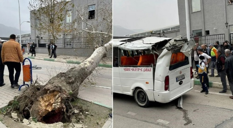 Дерево упало на микроавтобус