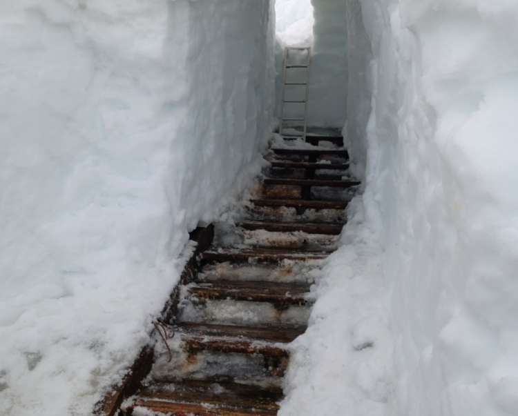 как полярники откапывают станцию Вернадского в Антарктиде