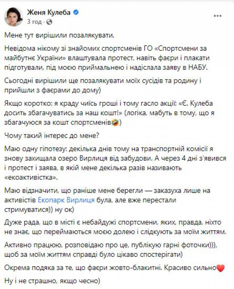 Депутатка Київради Кулеба відповіла на обвинувачення активістів у незаконному збагаченні (ФОТО)