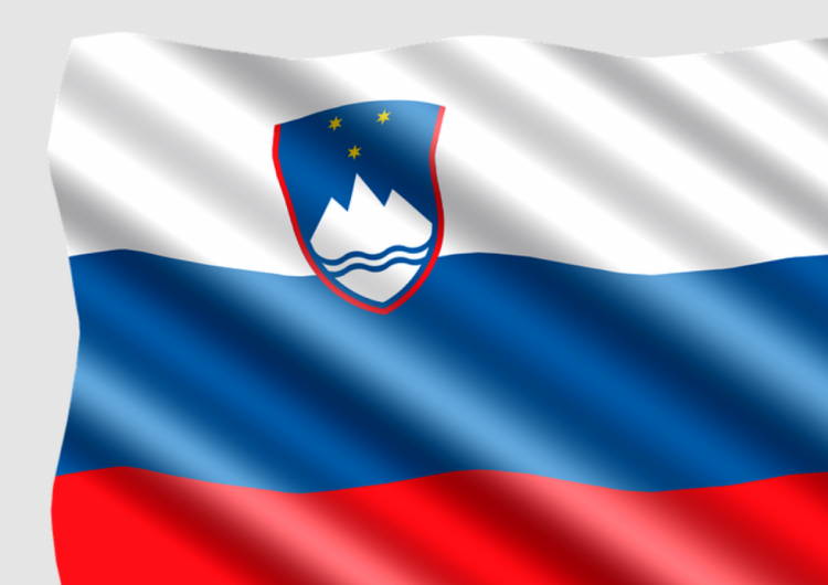 флаг словении
