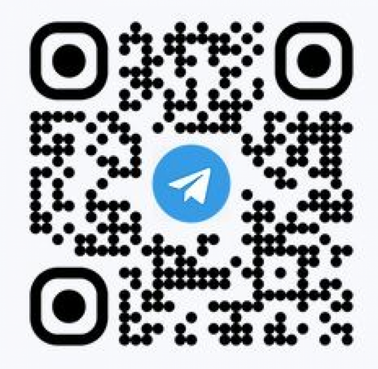 Украинская IT-компания Handi.ua создала цифровой помощник украинца за рубежом — Telegram